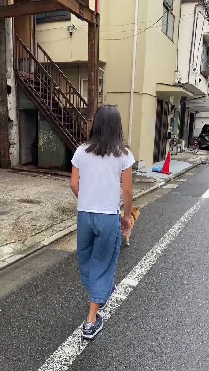 エコな移動手段！？ローラーシューズで犬の散歩！