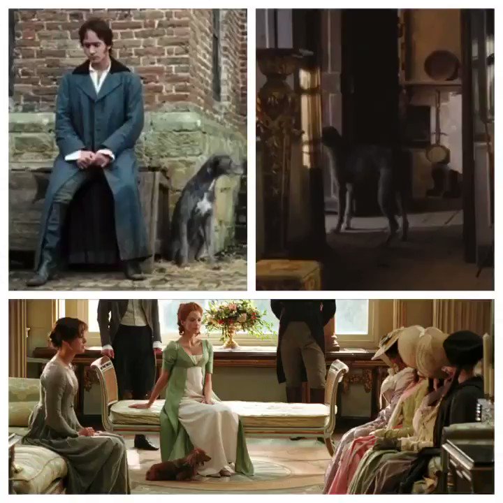 Pride & Prejudice on Twitter "The family dog 🐕‍🦺 or the
