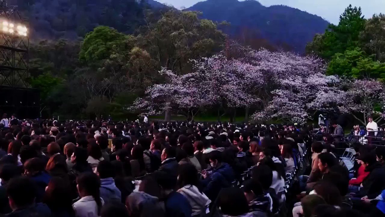 きゃりーぱみゅぱみゅ、出雲大社で開催されたライブをスペシャで