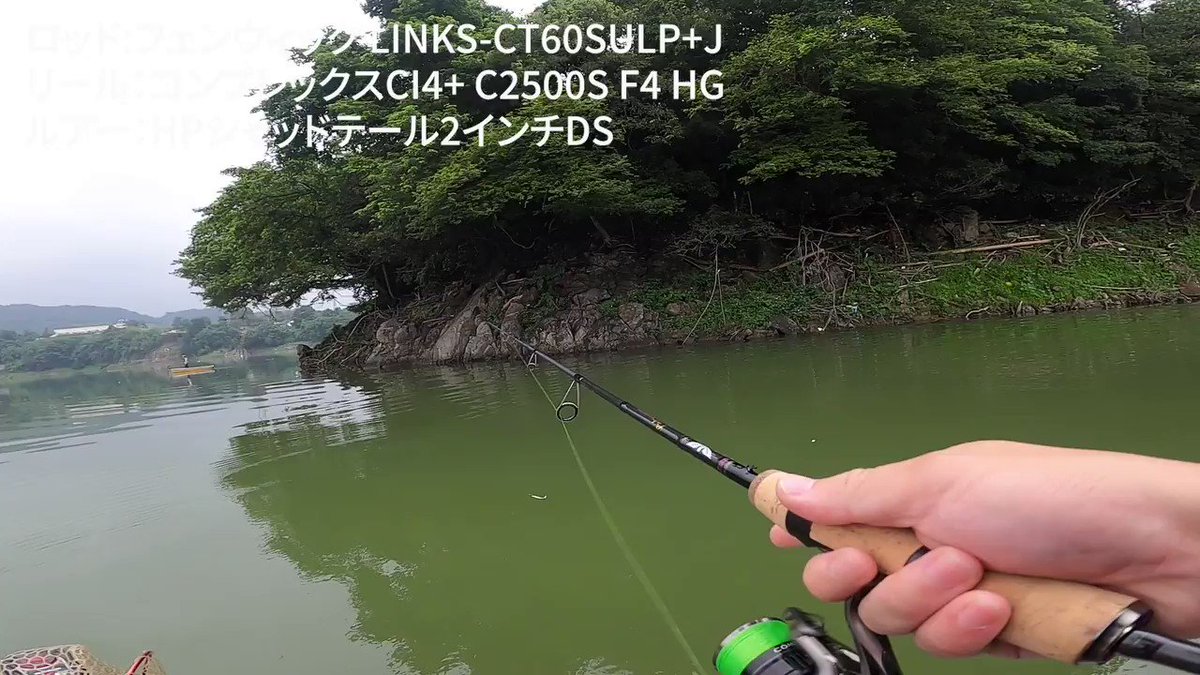 正規逆輸入品】 fenwick フェンウィック LINKS リンクス LINKS62CLP+J quot;Versatile Bait Finesse Specialquot; materialworldblog.com 正規逆輸入品】 fenwick フェンウィック LINKS リンクス LINKS62CLP+J quot;Versatile Bait Finesse Specialquot; materialworldblog.com