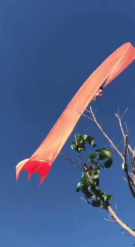 Taïwan : Un cerf-volant a emporté un enfant de 3 ans dans les airs en raison d'une forte bourrasque.
Le bambin a pu être récupéré sans dégât. https://t.co/A639E0WTPi