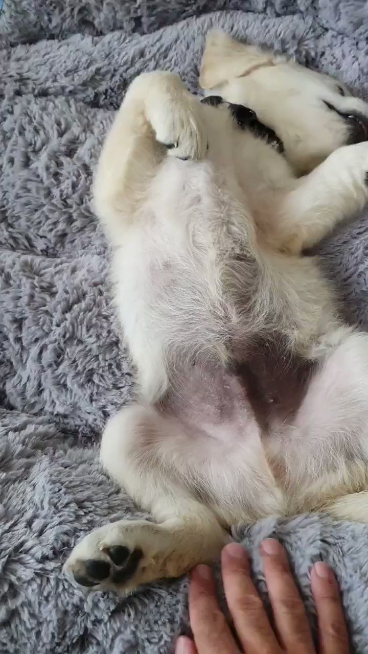 مالوندن ❤️ Best adult photos at dopravne-ihriska.sk