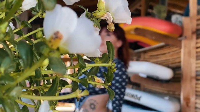 Online https://t.co/sgwCtNU5DN https://t.co/NQxwRPmxPX<a href="/tag/horny"class="tags"><span>#horny</span></a><a href="/tag/moonlight4u"class="tags"><span>#moonlight4u</span></a>