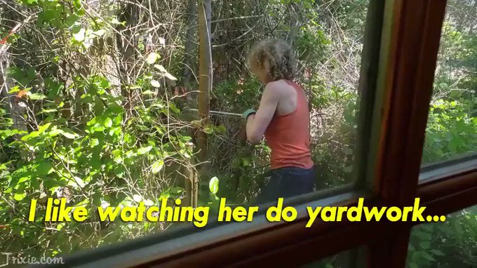 Just sold a #clip - My Wife's Muscles are Bigger Than Yours - HD *MP4* Version https://t.co/C3sGCgqbii<a href="/tag/clip"class="tags">#clip</a><a href="/tag/muscularwomen"class="tags"><span>#muscularwomen</span></a>