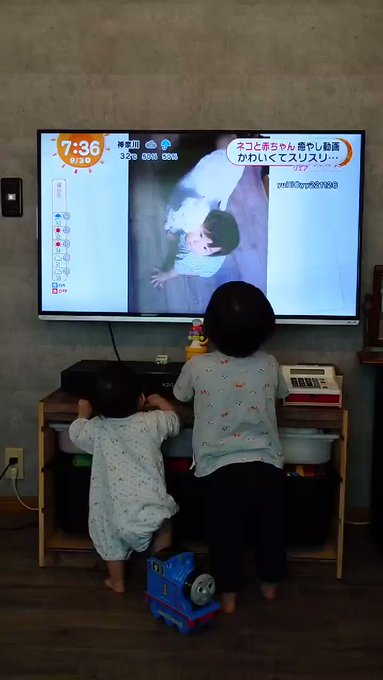 めざましテレビ の評価や評判 感想など みんなの反応を1時間ごとにまとめて紹介 ついラン