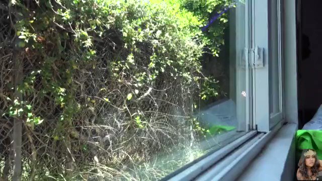 Erotic Goddess ASL’s pics and videos