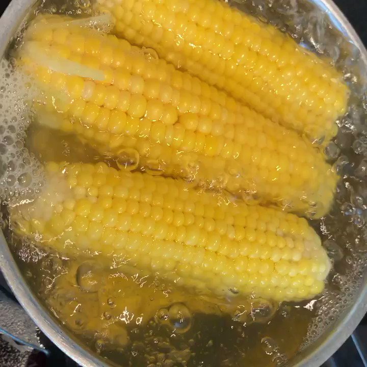 @MrsARose1 Enjoy eating your sweetcorn. Nothing tastes nicer than sweetcorn you’ve grown yourself. Last year's harvest was wonderful #kitchengarden
#garden #growyourown #edible #veg #gardening #gardenersworld #allotment @GWmag https://t.co/NBoet1HAUF