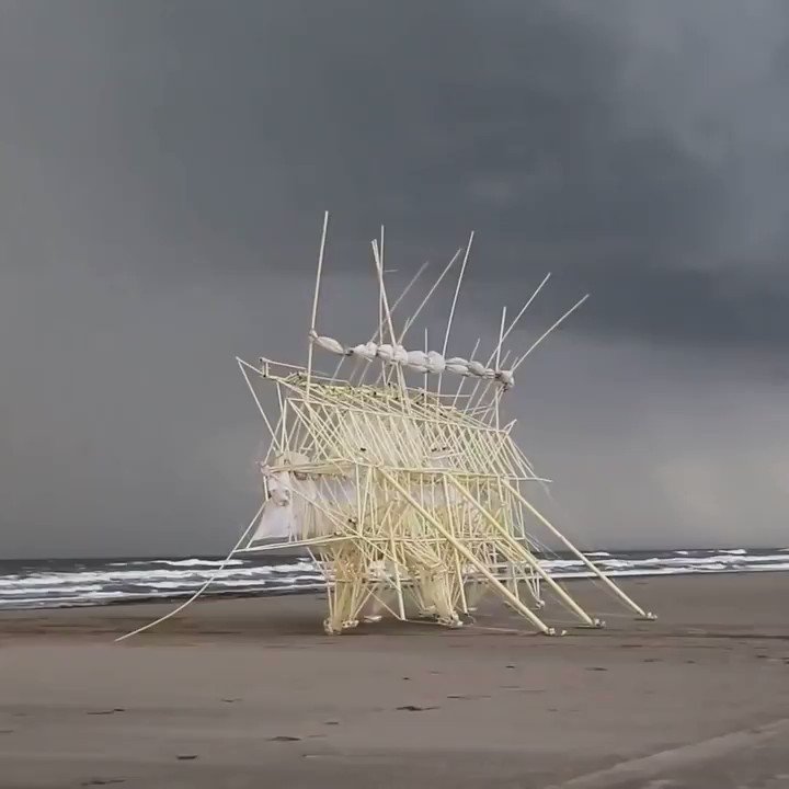 Consider the “Beach Animals” created by Theo Jansen as a fusion of art and engineering.
These kinetic structures walk on their own and get all their energy from the wind.
https://t.co/PHjrdsJxj5