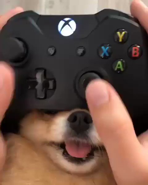 柴犬 - Xbox遙控器怎麼多了一個搖桿？ Ir6MLyWsVjlkAYOp