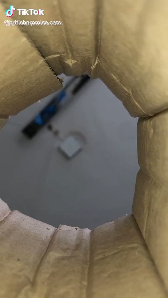 devlin bowman (lameboyclassic) Twitter