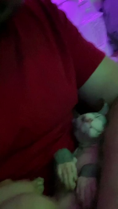 My pussy ?? https://t.co/FWku22tQHU