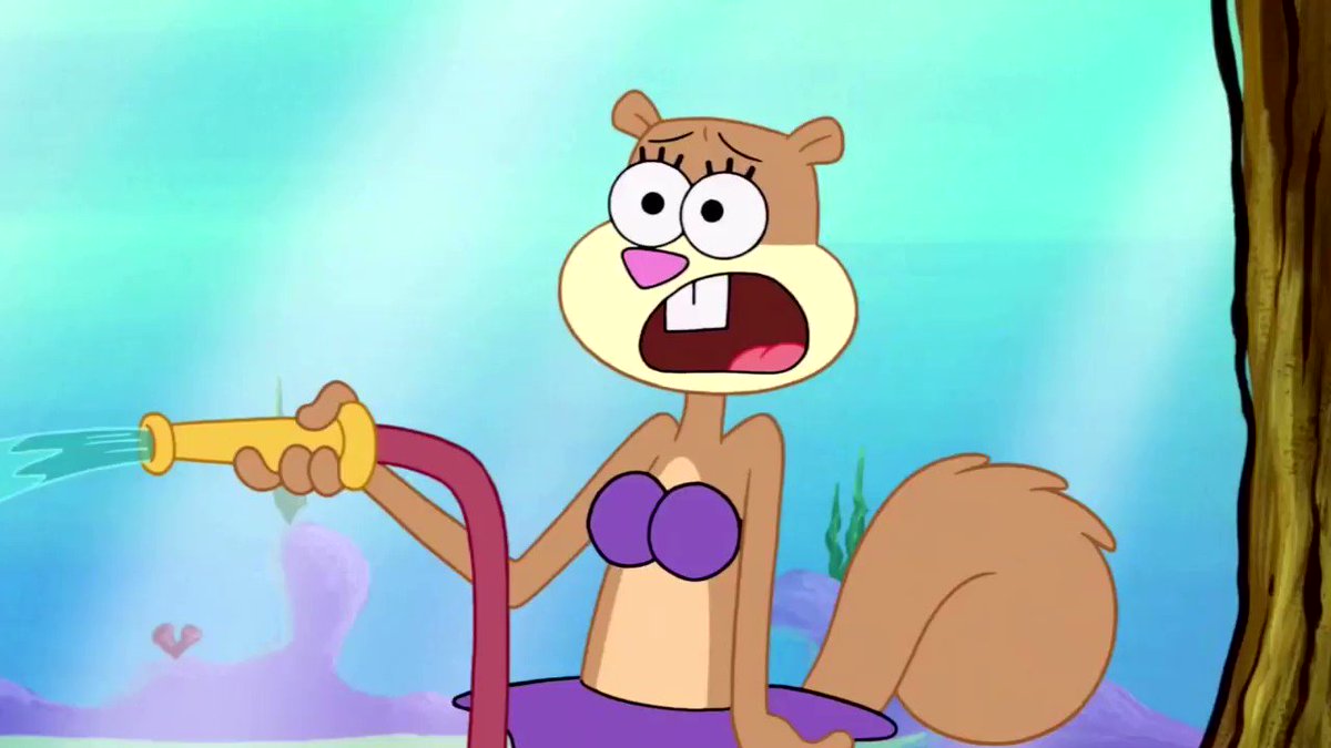 “Clapping Sandy's Cheeks https://t.co/wurWQNbki4” .