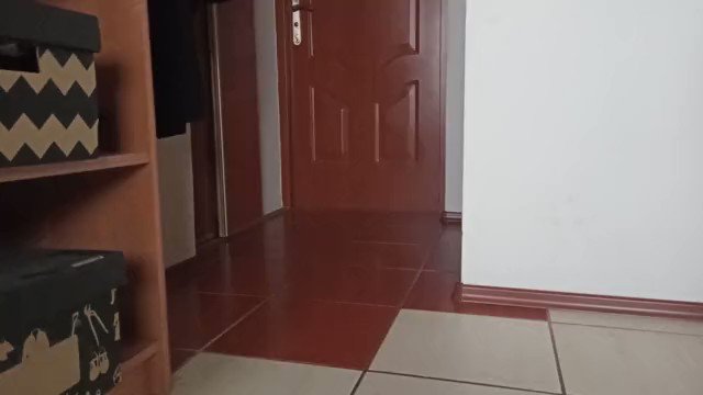 One of my hottest videos just sold. See it for yourself: https://t.co/BBdMF5LUcf https://t.co/oOGJ7W