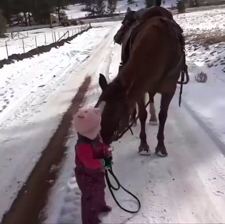 Morning Patriots~🇺🇸
ADORABLE little Emma is being taught how to properly walk Cinnamon. Children are amazing!
Train up a child in the way he should go; even when he is old he will not depart from it.
Prov 22:6
Have an awesome day!🌼
https://t.co/oTvPr6MZXu