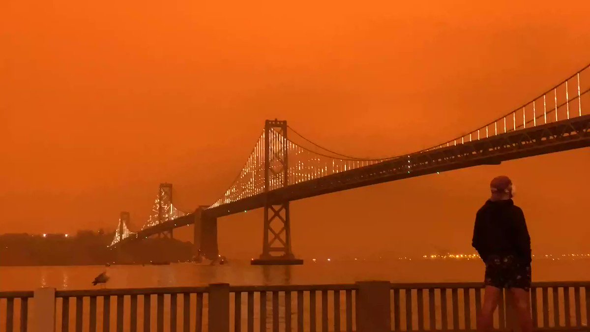 Have your own photos or videos of the hazy, orange sky from around the Bay Area this morning?
Share them in the comments below or tag us in your tweets!
🎥:@jachristian
Read more: https://t.co/uXijBxrFHF https://t.co/64Ivzr2r5O