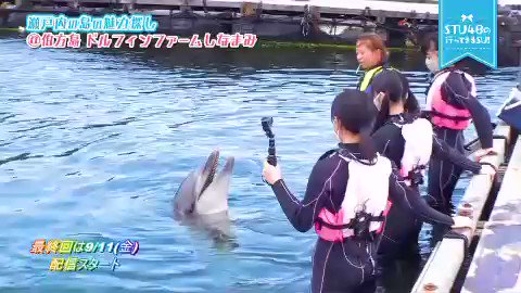 Uzivatel カレーさん Na Twitteru 城みちる以外でイルカに乗るのは トリトンぐらいしか尻ませんｗ