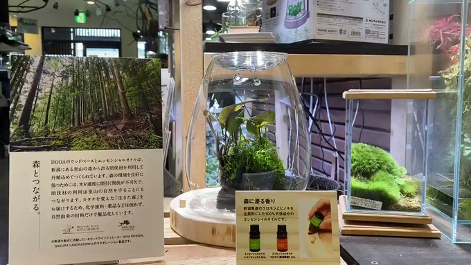 アクアテイラーズ東大阪本店さん がハッシュタグ Ada をつけたツイート一覧 1 Whotwi グラフィカルtwitter分析 アクアテイラーズ東大阪本店さん がハッシュタグ Ada をつけたツイート一覧 1 Whotwi グラフィカルtwitter分析