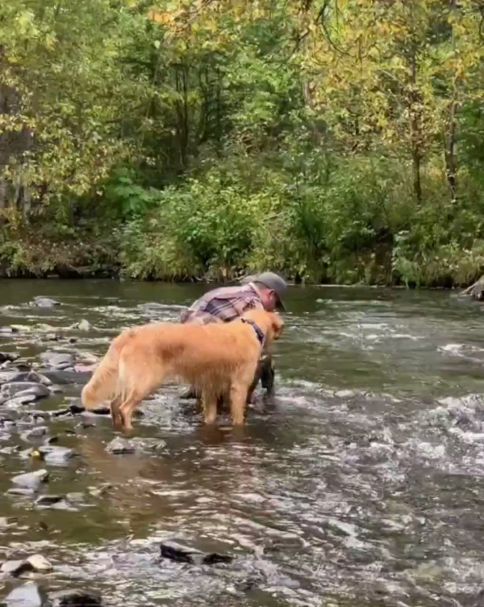 The Puppies Club (@thepuppiesclub) on Twitter photo 11/09/2020 19:10:17 Let me show you how it's done dad! 🎣😁 Let me show you how it's done dad! 🎣😁
