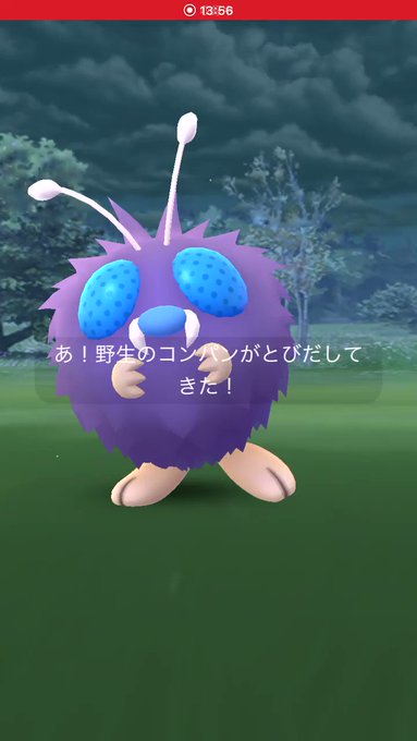 コンパン の評価や評判 感想など みんなの反応を1週間ごとにまとめて紹介 ついラン