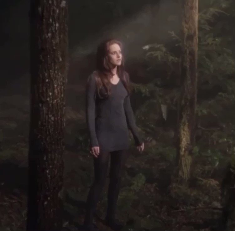 The life and afterlife of bella swan happy birthday bella!! 