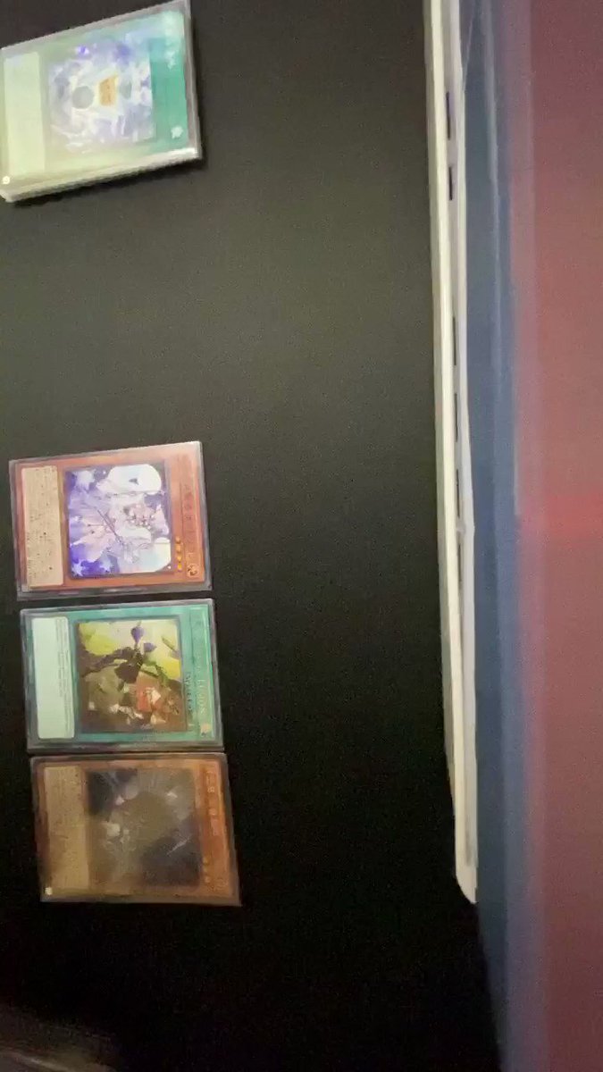 トレンド一覧 Trendysearch 遊戯王