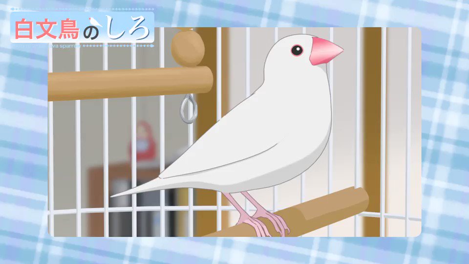 一瀬 文音(いちのせ みね) on X: 