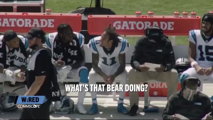 Robby Anderson: Whatโs that bear doing?
DJ Moore: Bear????
Robby: Panther
DJ: Thatโs Sir Purr, Bro
Robby: Yโall call him that?
Me: ๐คฃ๐๐คฃ๐๐คฃ https://t.co/rbU9mN2yns