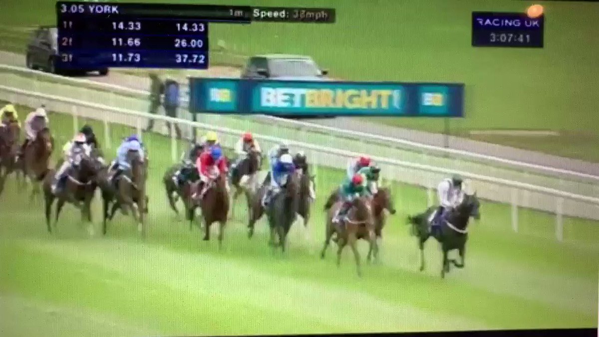 George Smyly (@gsmyly) on Twitter photo 2020-09-17 08:56:43 I will never forget this ride from Pat Smullen on Short Squeeze (Pink colours at the back). He was drawn widest of all over 1 mile at York. Pat dropped him in immediately and then did this in the straight without touching the whip. Incredible. I will never forget this ride from Pat Smullen on Short Squeeze (Pink colours at the back). He was drawn widest of all over 1 mile at York. Pat dropped him in immediately and then did this in the straight without touching the whip. Incredible.