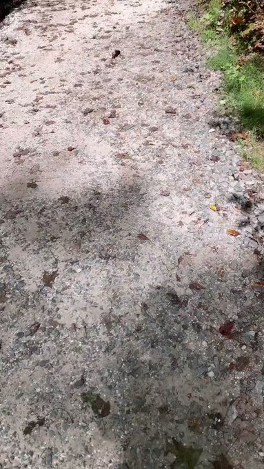 Soaking in some nature https://t.co/Hzit3WbKWx