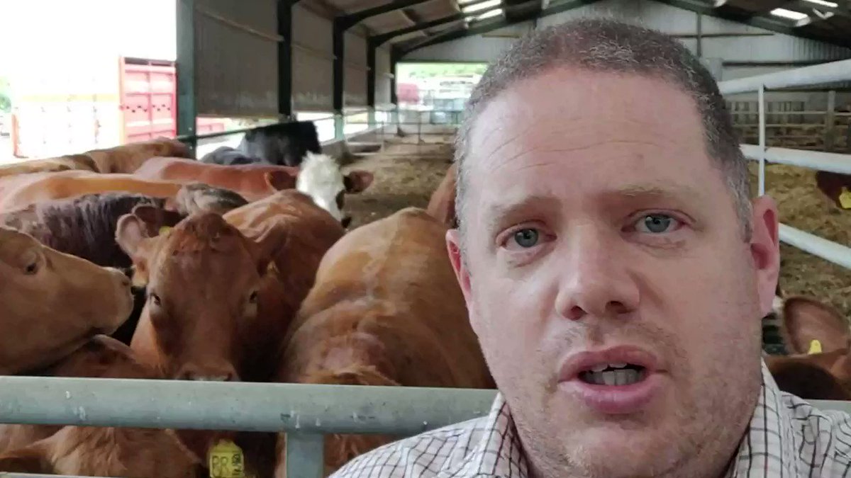 Applications to join the #monitorfarm project are now open!
Listen to how @PerkinsLodge has benefited from joining the Farm Excellence programme
Apply today: https://t.co/jXBwnJPBJ3
#strategicfarm #sheep365 #teambeef #agriculture #farming #farmers #agrichat https://t.co/et6fkO1Ev9