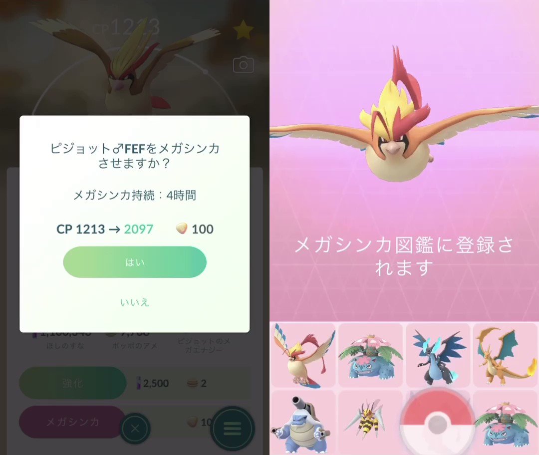 ひかぴか メガピジョットに進化させてみた 最初の進化に必要なエナジーは100個です ポケモンgo Pokemongo メガシンカ Megaevolution メガポケモン Megapokemon メガピジョットpidgeot T Co Ogibpvnuiw