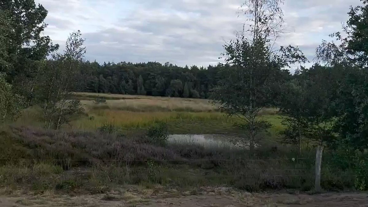 Rose 🌹 (@Rose70022) on Twitter photo 2020-09-20 10:08:46 Mooi weekend #naturelover Mooi weekend #naturelover