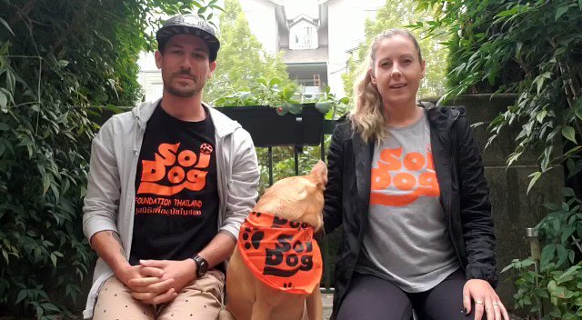 Mutt March: Shake it Off starts today ❣️ https://t.co/jkvCjvq9tZ
Dave & Nicole, former volunteers at Soi Dog Phuket shelter & furparents to rescues Wanchan & Mango encourages all to take part in @SoiDogCanada worldwide virtual fundraising event❗
#SDCanada2020
#SundayMotivation https://t.co/MZlWHCp1AC