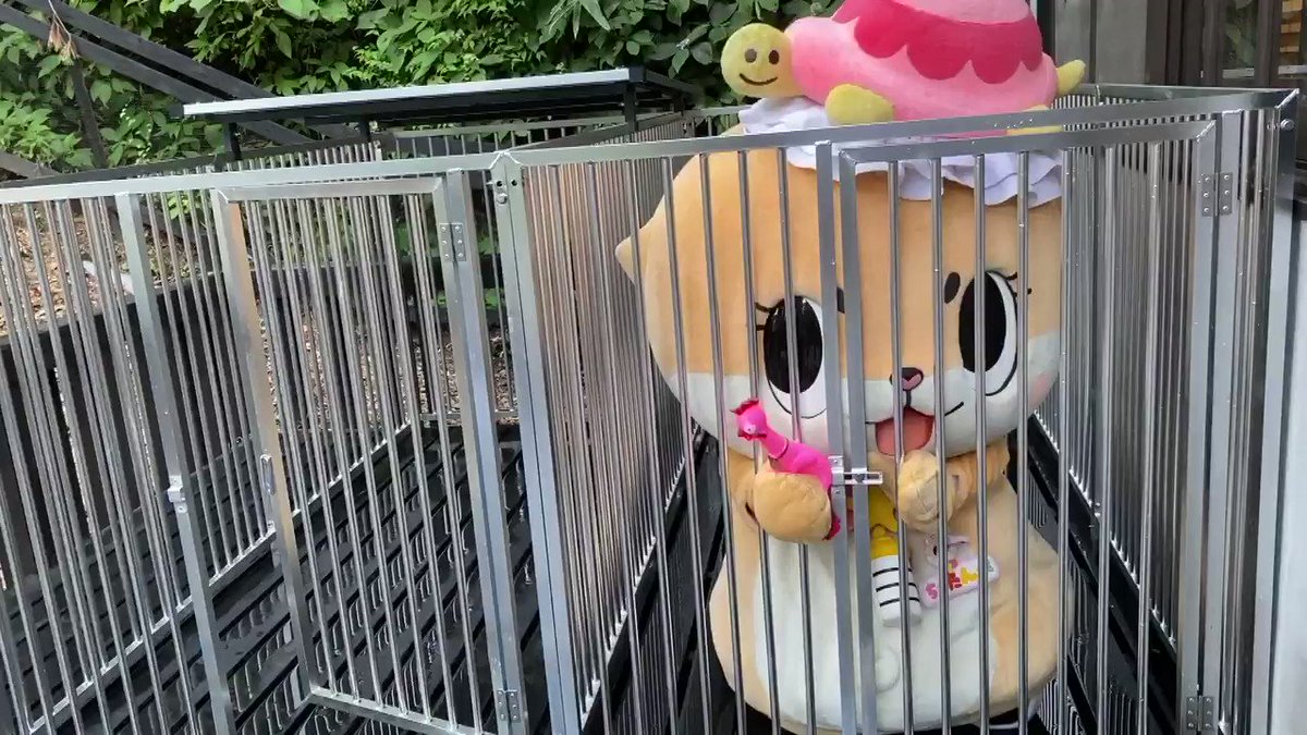 今日はここでおままごとしときなさいと言われましたっ☆素敵なステンレスに囲まれて幸せですっ☆ちぃたん☆ですっ☆
My mom was angry to me https://t.co/Pk4AAvTKRb