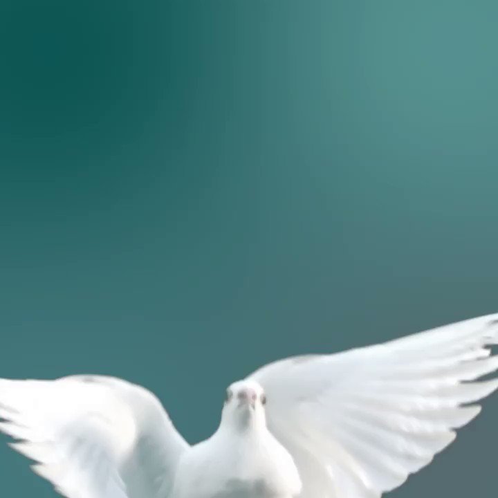 Le Canada est heureux de collaborer avec ses partenaires à travers le monde afin de favoriser un monde plus pacifique. 🕊️
Lire notre déclaration sur la #JournéeInternationaledelaPaix ➡️https://t.co/w4BOwKEC1v https://t.co/g2zTRqcooD