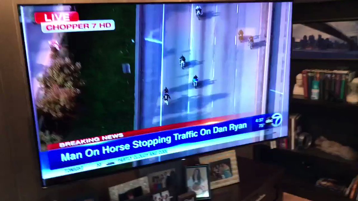 π°πππ πΆπππππ (@AldoBarkeeper) on Twitter photo 2020-09-21 21:39:48 Thereβs a man riding a horse disrupting traffic on a major Chicago expressway. Thereβs a man riding a horse disrupting traffic on a major Chicago expressway.