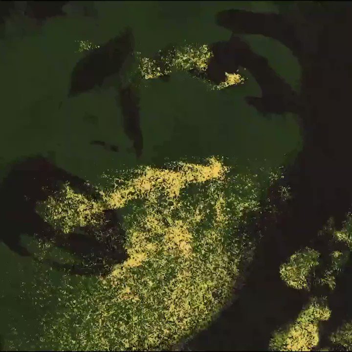 Lennon Stella (@lennonstella) on Twitter photo 23/09/2020 14:58:10 made a lil visualizer to go along with fear of being alone alt version ❤️ LennonStella.lnk.to/FOBA-AV/youtube made a lil visualizer to go along with fear of being alone alt version ❤️ LennonStella.lnk.to/FOBA-AV/youtube