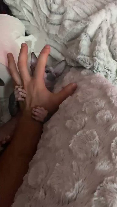He likes to nibble on me?? https://t.co/mXOuQrJ5CT