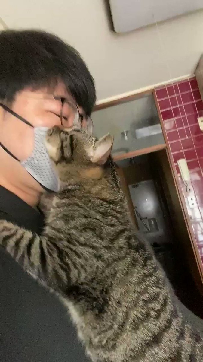 飼い主さんに対する愛が感じられる・行ってらっしゃいの挨拶・ごろごろ！！