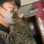 飼い主さんに対する愛が感じられる・行ってらっしゃいの挨拶・ごろごろ!