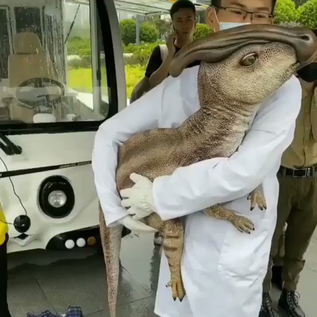 Jurassic Outpost Real Baby Dinosaurs Check Out This Young Parasaurolophus New To Jurassic World The Exhibition Jurassic Outpost Real Baby Dinosaurs Check Out This Young Parasaurolophus New To Jurassic World The Exhibition