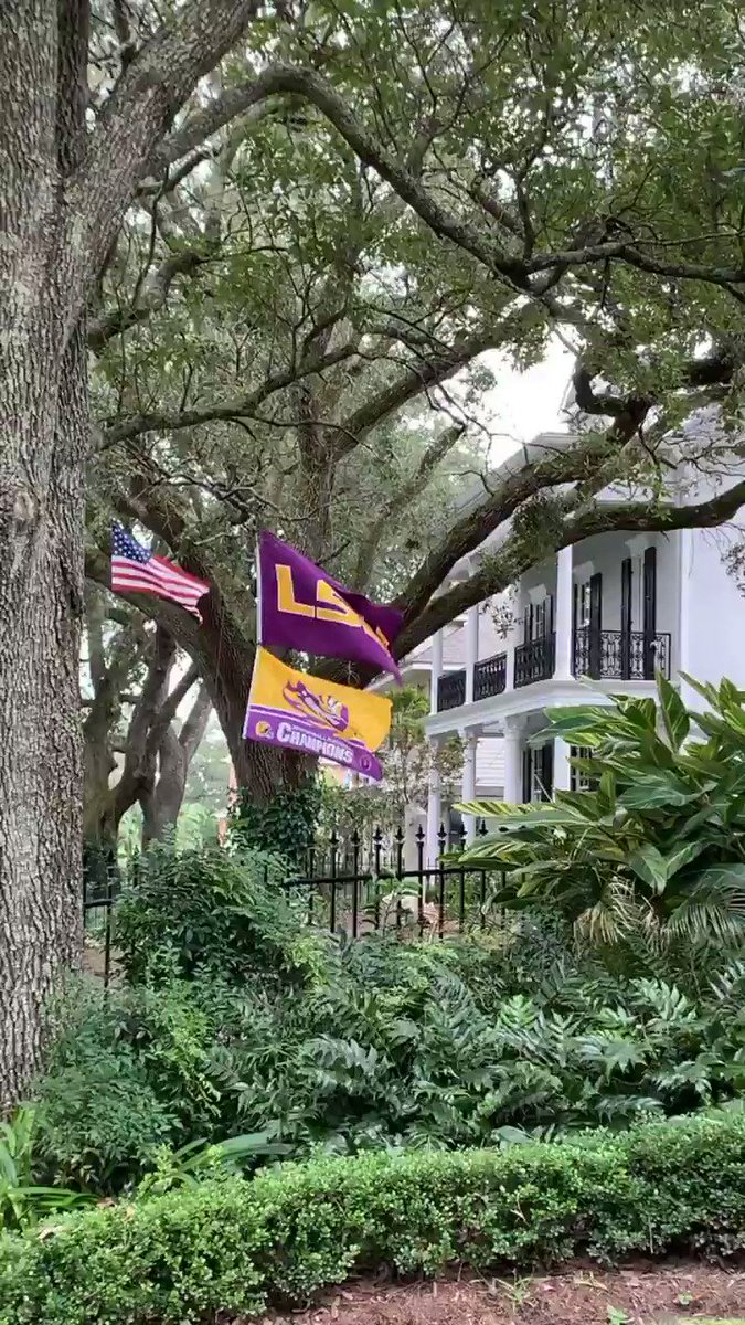 💛💜🐯Excited to watch the reigning champs take the field tomorrow!