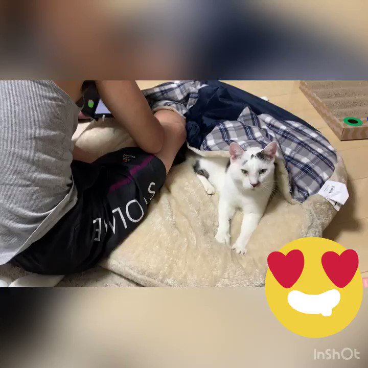 チョコちゃんママ•*¨*•.¸♬︎ ママ大喜び - Search / X