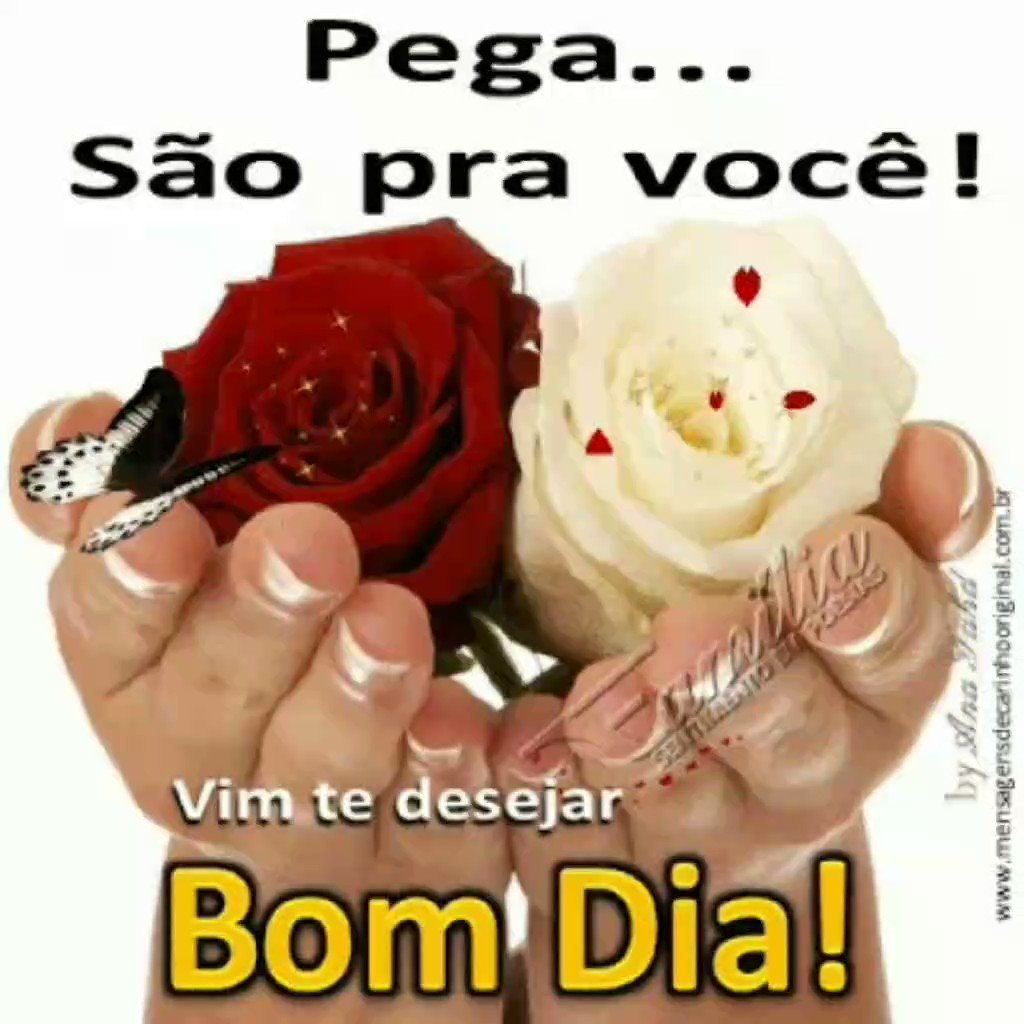 bom dia/tarde/noite com funk (@BmDiaTardeNoite) / Twitter bom dia/tarde/noite com funk (@BmDiaTardeNoite) / Twitter