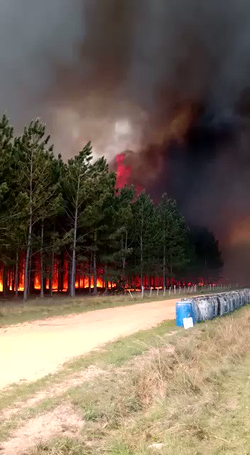 Incendios en Corrientes! https://t.co/RL9XcyzFjR