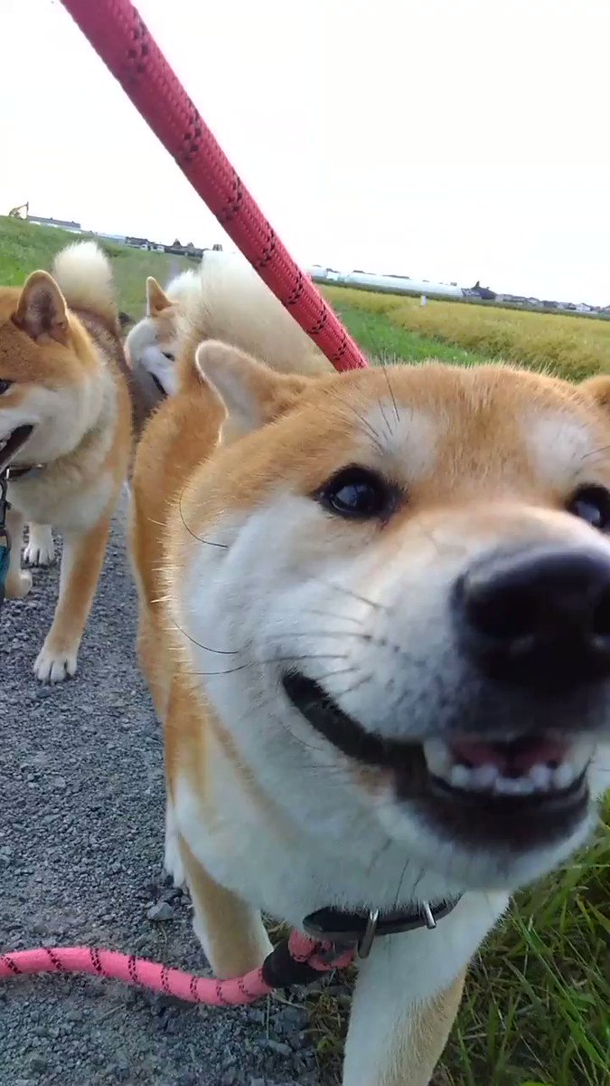 年10月 まるしば道