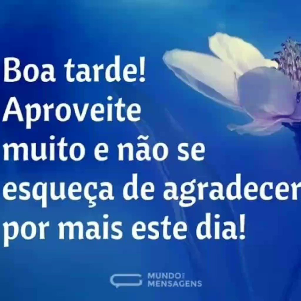 bom dia/tarde/noite com funk (@BmDiaTardeNoite) / Twitter bom dia/tarde/noite com funk (@BmDiaTardeNoite) / Twitter