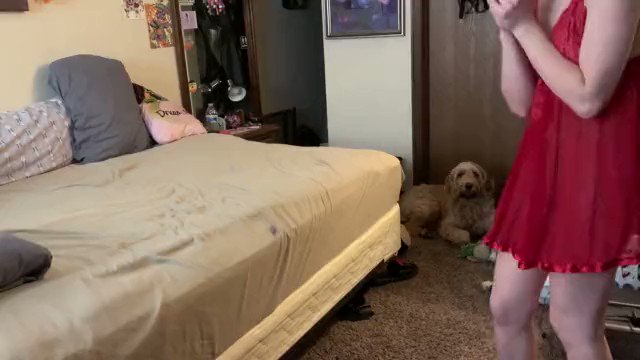 TashiaPetite’s pics and videos