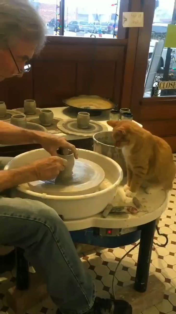猫の窯元！？ろくろ職人な猫が渋カッコイイ！のサムネイル画像