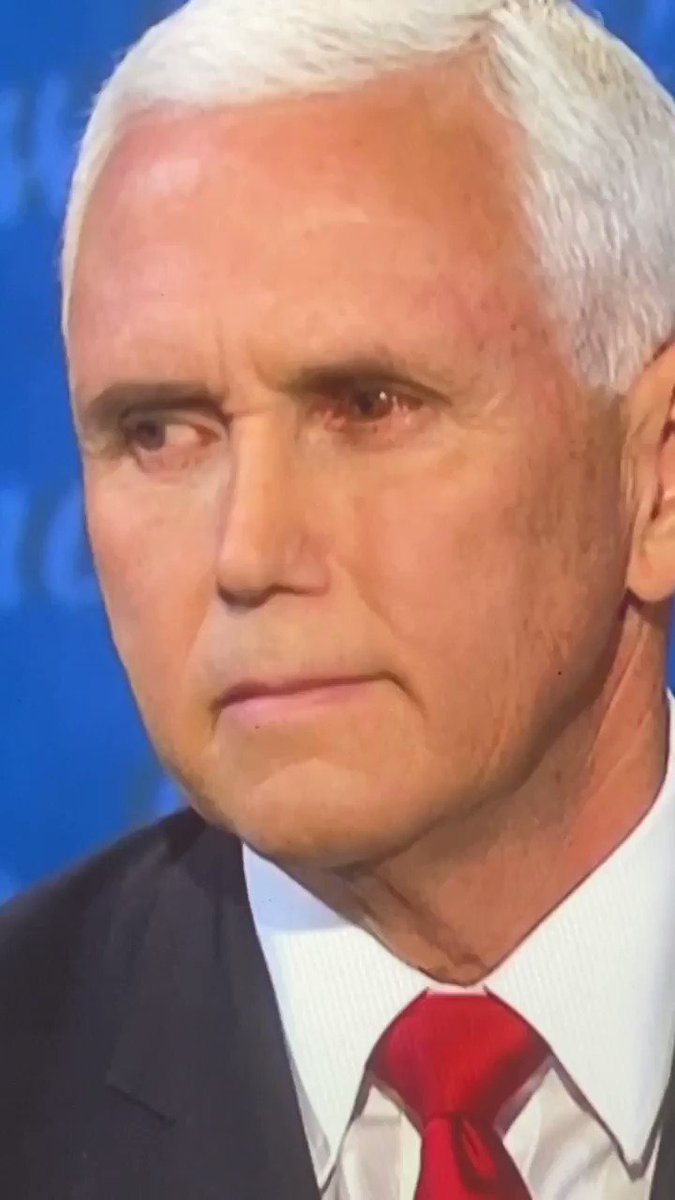 Fairly fly for a white man: insect on Mike Pence’s head upstages vice-president | US information